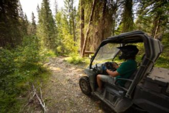 mammoth lakes ohv single track trails