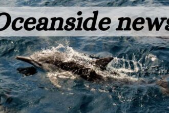 oceanside news