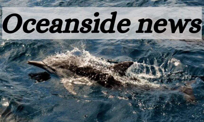 oceanside news